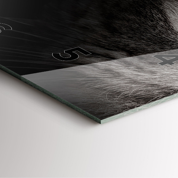 Skleněné hodiny čtvercové Skotský pes a kočka