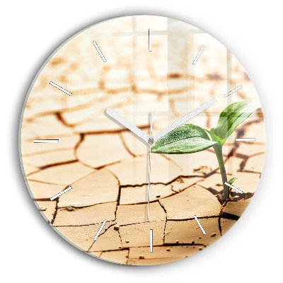 Kulaté skleněné hodiny s fotkou Rostlina v suché zemi