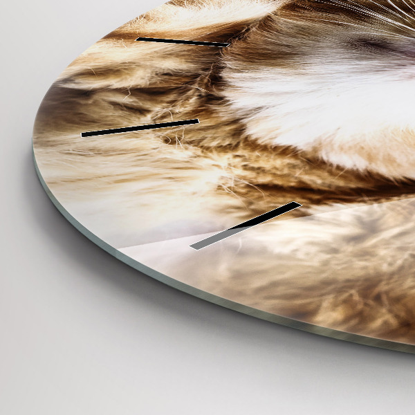 Kulaté skleněné hodiny s fotkou Spící kočička