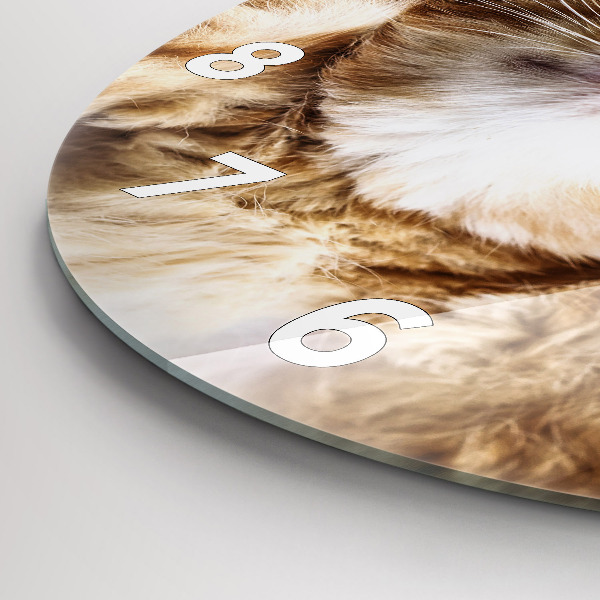 Kulaté skleněné hodiny s fotkou Spící kočička