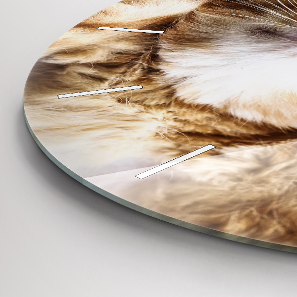 Kulaté skleněné hodiny s fotkou Spící kočička