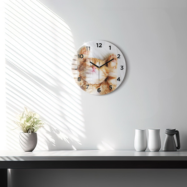 Kulaté skleněné hodiny s fotkou Spící kočička