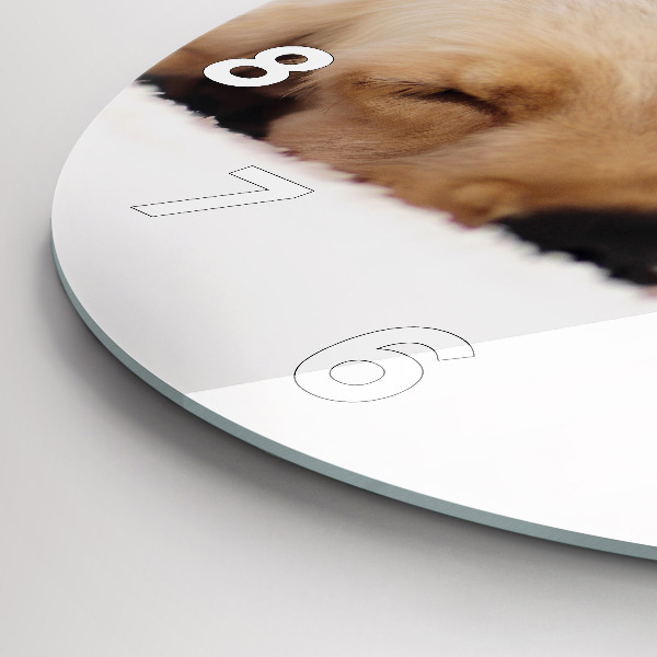 Kulaté skleněné hodiny s fotkou Spící kočka a pes