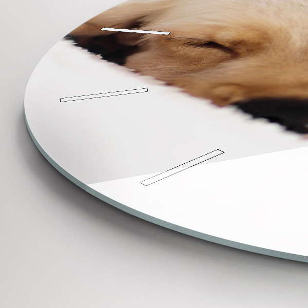 Kulaté skleněné hodiny s fotkou Spící kočka a pes