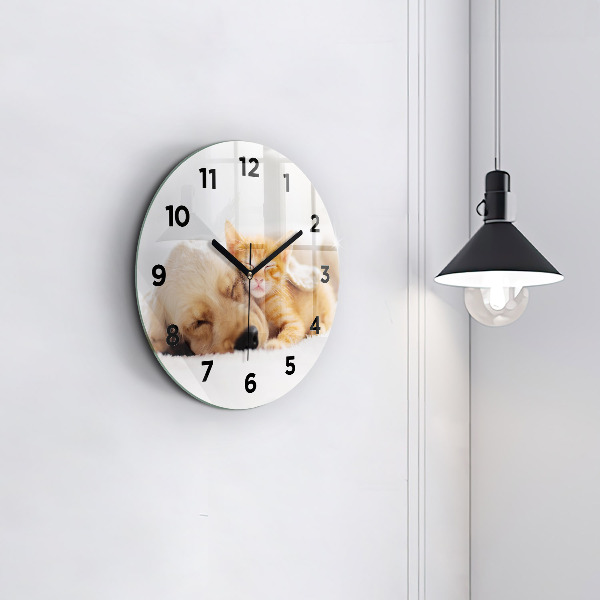 Kulaté skleněné hodiny s fotkou Spící kočka a pes