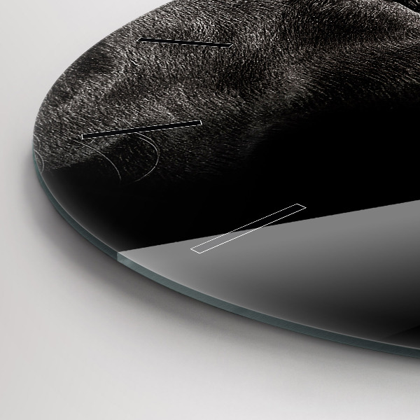 Kulaté skleněné hodiny s fotkou Skotský pes a kočka